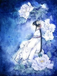 寡妇